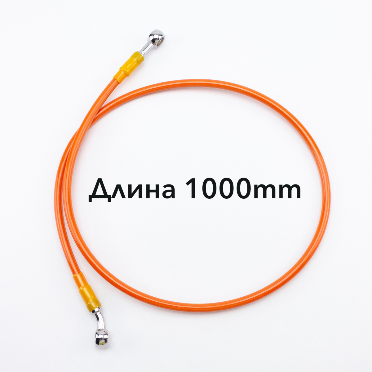 IMG_3584 копия